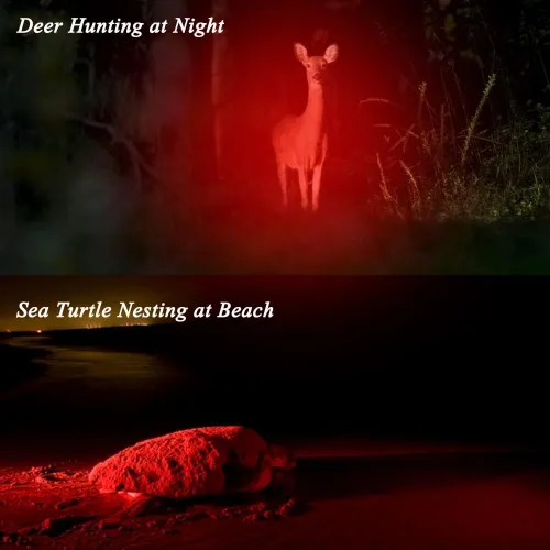 Vista 3 de Linterna de luz roja 3 modos táctico Zoomable LED Antorcha roja para visión nocturna Pesca Caza Astronomía Astrofotografía