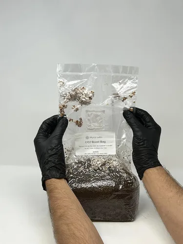 Vista 3 de Myco Labs Co2 Boost Bolsa de cultivo de hongos autoactivados para plantas, salas de cultivo y tiendas de campaña 2.0