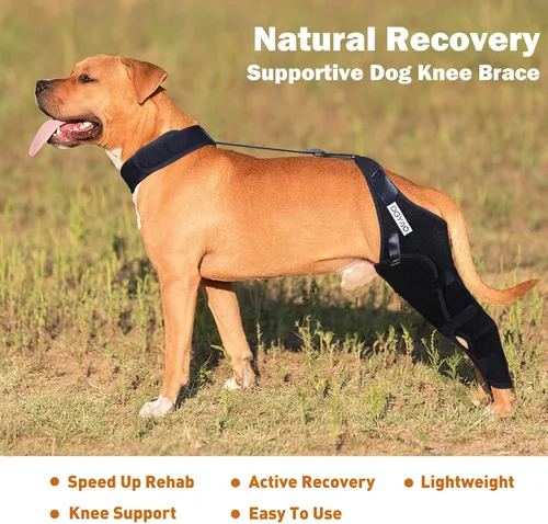 Vista 3 de Rodillera para perro para ACL, dislocación de la rodilla, artritis, envoltura completa, fácil ajustable, soporte adicional, reduce el dolor