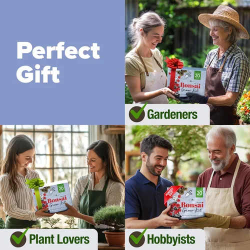 Vista 5 de HOME GROWN Kit de Árbol Bonsái – Juego Inicial Premium de Cerámica con 4 Variedades de Bonsái – Fácil Regalo de Jardinería Interior para Hombres