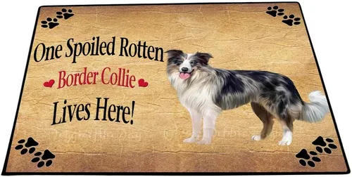 Vista 18 de Doggie of the Day Border Collie Dogs Floor Mat - 4th of July Independence Day - Best Dog Doormat - Protector Decor - Unique Portrait Art - Premium