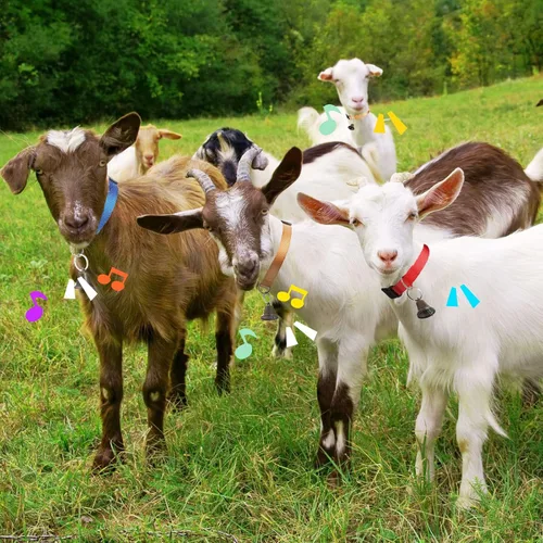 Vista 7 de 12 juegos de collares de cabra con campanas, caballo, oveja, pastoreo, campanas de vaca, collar ajustable de nailon para perro con hebilla