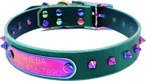 Vista 18 de Collar de perro de cuero con brida hecha a mano, grabado arco iris de acero inoxidable (negro)