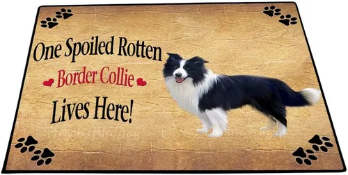 Vista 13 de Doggie of the Day Border Collie Dogs Floor Mat - 4th of July Independence Day - Best Dog Doormat - Protector Decor - Unique Portrait Art - Premium