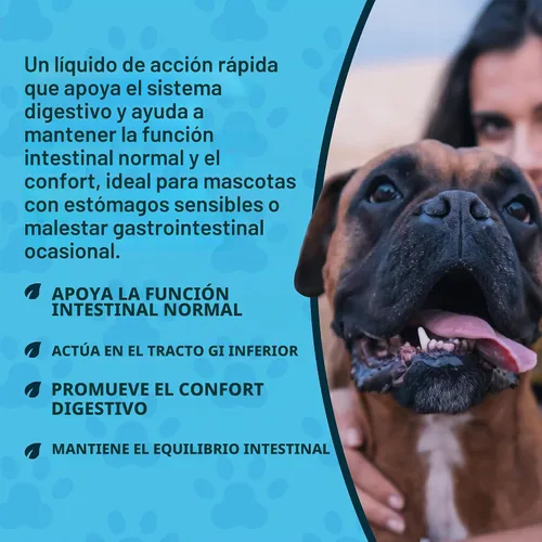 Vista 5 de Animal Essentials Colon Rescue Herbal GI Support para perros y gatos, 1 onza líquida, ayuda digestiva fabricada en Estados Unidos, mezcla