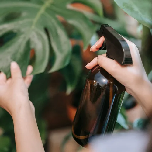 Vista 7 de Botellas de spray de vidrio ámbar Wedama, botellas de spray de vidrio de 16 oz para soluciones de limpieza y aceites esenciales, botella de spray