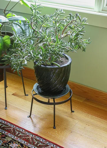 Vista 7 de Achla Designs Juego de dos soportes para plantas de rombos