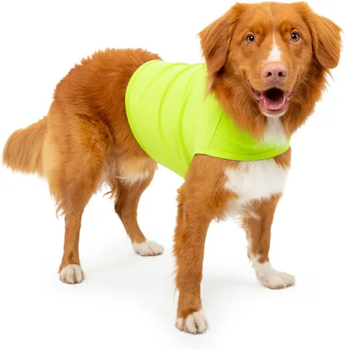 Vista 12 de Camisa Mellow Shirt para calmar la ansiedad de perros, Cypress