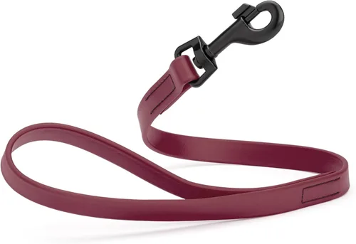 Vista 24 de Dogline Biothane - Correa impermeable para perro, tejido de nailon con revestimiento fuerte, con herrajes negros, a prueba de olores, fácil