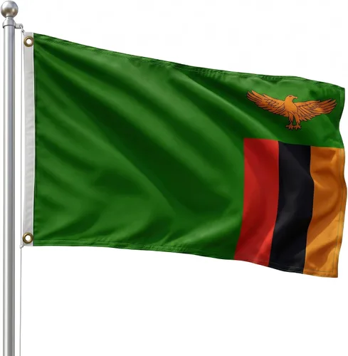 Vista 129 de DMSE - Bandera nacional beninesa beninesa de la República de África Occidental, 2 x 3 pies, 100 % poliéster, 100 % poliéster, resistente a los rayos