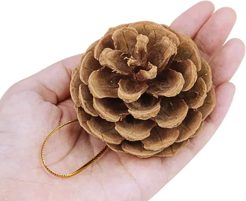 Vista 2 de Supla 30 adornos de piñas de pino preservados reales para colgar de Navidad, de 2 a 3 pulgadas de alto, adornos de piña para colgar en el árbol