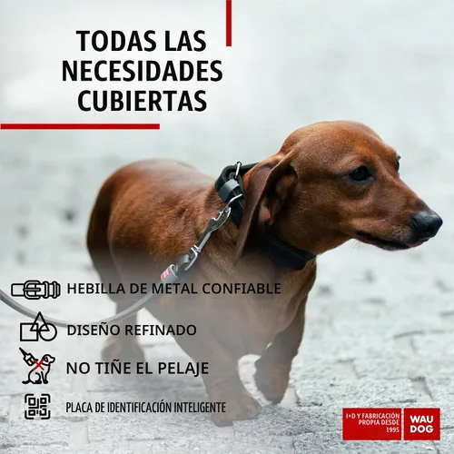 Vista 4 de WAUDOG Collar de cuero de larga duración para perros grandes, medianos y Negro