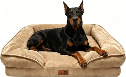 Vista 19 de Spotted Play Cama ortopédica para perros con lados, sofá cama para perros pequeños, sofá cama de espuma de apoyo para mascotas con funda extraíble