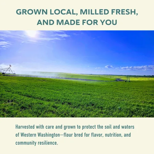 Vista 9 de Fairhaven Mill Harina de trigo sarraceno orgánico, 2 libras Grano entero, naturalmente sin gluten, certificado orgánico USDA, cultivado y molido