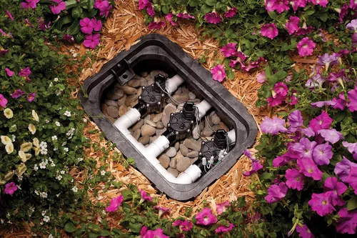 Vista 3 de Válvula de rociadores Rainbird National SLS CP-075,0.75 pulgadas, automática, en línea