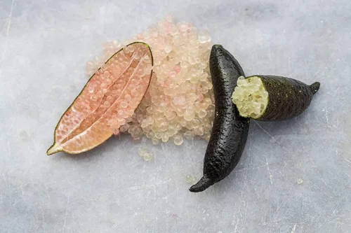 Vista 2 de Limas de caviar (.5 lb)