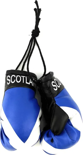 Vista 6 de Mini guantes de boxeo para colgar en el espejo del coche (Camerún)