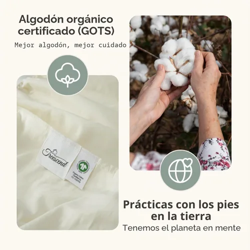 Vista 7 de Protector de colchón orgánico 100% algodón Protector de colchón orgánico GOTS transpirable y silencioso con durabilidad premium de 300 GSM Marfil