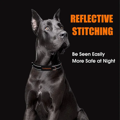 Vista 2 de Collar de Perro de Neopreno Acolchado, Collar de Nylon para Perros Pequeños a Grandes, Resistente con Hebilla de Metal, Reflectante (Pequeño, Negro)