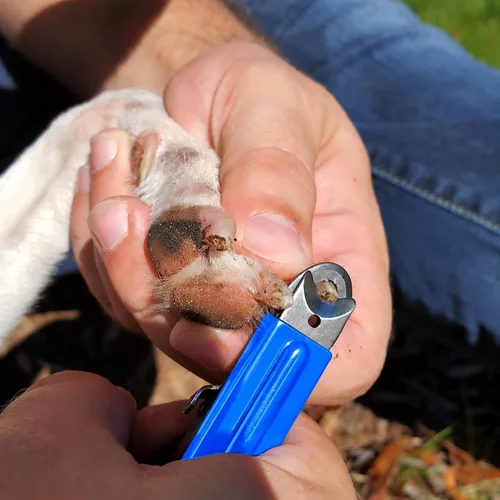 Vista 2 de Resco - Kit de cortaúñas para perro, pequeño a mediano