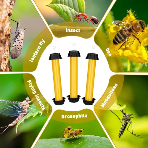 Vista 6 de Qualirey Trampas para moscas para colgar en interiores y exteriores, trampa para moscas de fruta, mosquitos pegajosos para insectos domésticos, 10 x