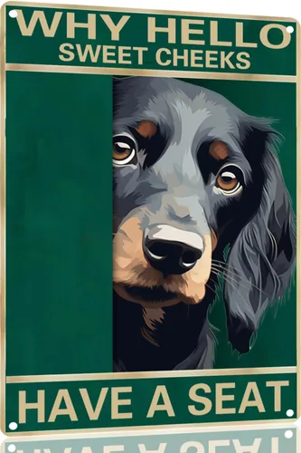 Vista 27 de Labrador Retriever - Letrero de metal con texto en inglés "Why Hello Sweet Cheeks Have A Seeks Have A Seeks" (1683)