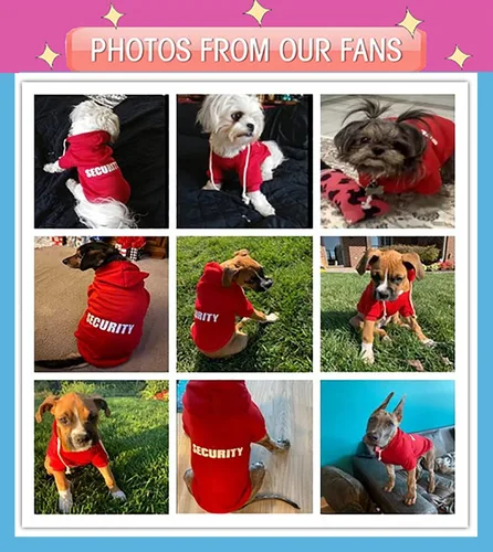 Vista 7 de Sudadera con capucha de seguridad para perros, ropa de invierno, suéter cálido de algodón para cachorros, sudadera para perros pequeños, medianos