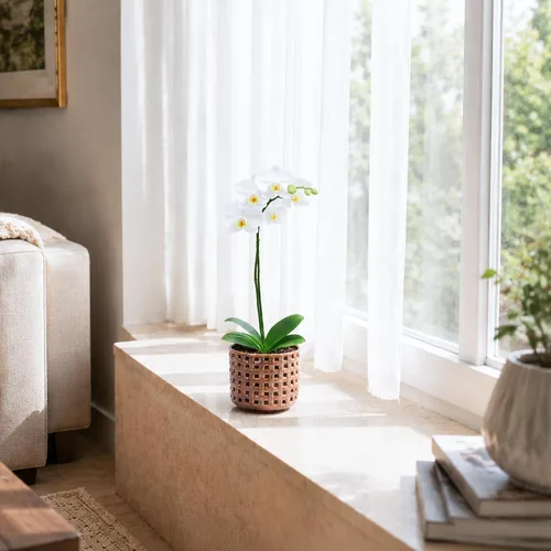 Vista 5 de D'vine Dev Maceta de cerámica para orquídeas de 4.5 pulgadas con diseño de recorte de celosía, maceta esmaltada con maceta transparente y platillo