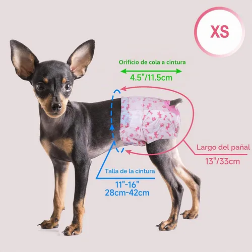 Vista 6 de Pet Soft Pañales desechables para perras, pañales para perras con agujero de cola de espuma ajustable, ultra protección, pañales para cachorros