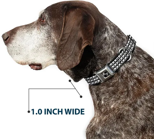 Vista 6 de Perro Collar Cinturón De Seguridad Hebilla Pernos 11 A 17 Pulgadas 1.0 Pulgadas De Ancho, DC-W31911-M Printed Studs Durable Metal Adjustable ID