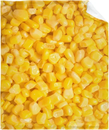 Vista 23 de Manta de chips Nachos para otoño, invierno, primavera, todas las estaciones, cálida y mullida de 40 x 30 pulgadas, para mascotas, microfelpa Chips