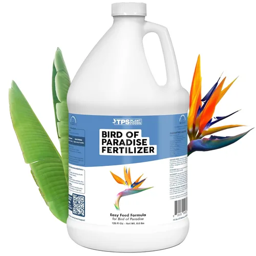Vista 9 de Bird of Paradise Fertilizer - Alimento líquido para plantas para hojas tropicales más grandes, raíces más fuertes y crecimiento vertical saludable