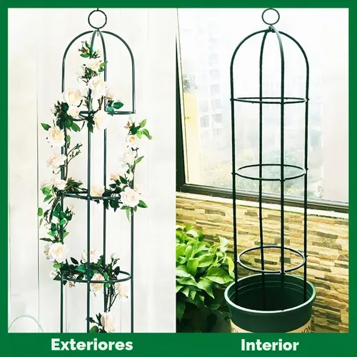 Vista 4 de Soporte para plantas y flores trepadoras de jardín