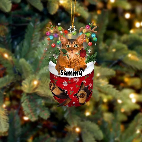 Vista 9 de Adorno personalizado de gato de rizo americano, adorno personalizado con nombre de mascota, colgante acrílico plano impreso en 2D, Papá Noel y gato