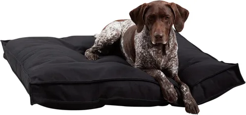 Vista 20 de Happy Hounds Milo - Cama cuadrada copetuda para perro, musgo, mediano (32 x 32 pulgadas)