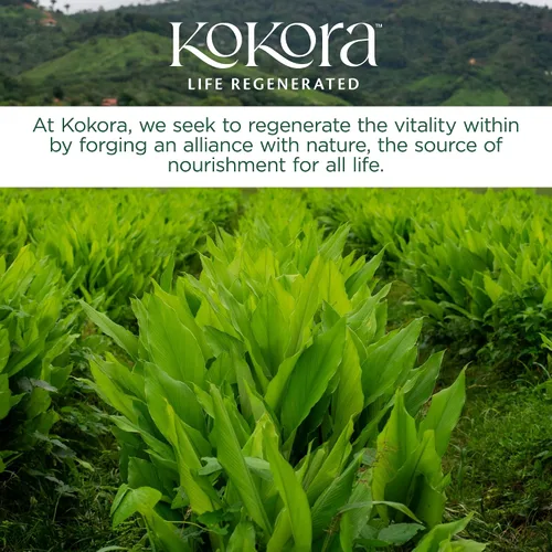 Vista 5 de kokora Adapt & Thrive - Apoyo energético y suprarrenal, alivio del estrés, relajación* - Polvo de hongos adaptogénicos orgánicos con Ashwagandha