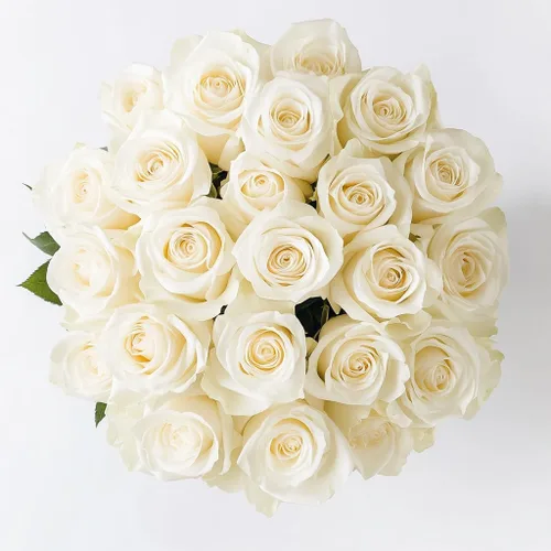 Vista 44 de GlobalRose Ramo de 50 rosas surtidas, rosas de origen responsable, flores frescas, ramo fresco de flores seleccionadas a mano para el día