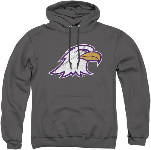Vista 7 de LOGOVISION Ashland University - Sudadera con capucha unisex para adultos
