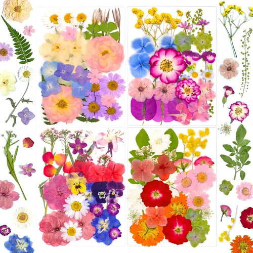 Vista 8 de 92 hojas de flores secas prensadas para moldes de resina, manualidades de bricolaje
