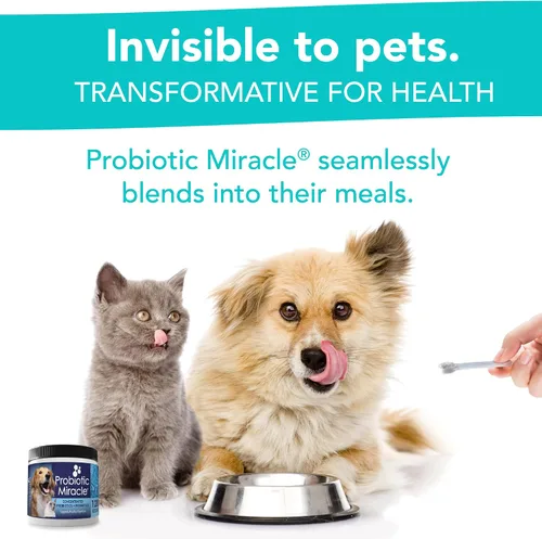 Vista 5 de Probiotic milagro perro Probiotics para perros (hasta 360 porciones)