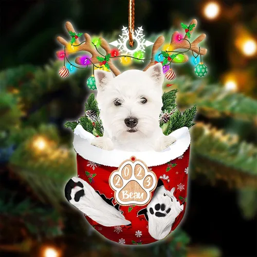 Vista 25 de NAZENTI Adorno Navideño de Bolsillo Personalizado de Affenpinscher en la Nieve, Adorno de Forma Acrílica de Perro, Adorno de Navidad 2023, Adorno