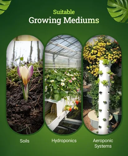 Vista 5 de Fox Farm Beastie Bloomz Fertilizante soluble – Fertilizante de alto fósforo para floración media a tardía, pH equilibrado – Apoya el desarrollo