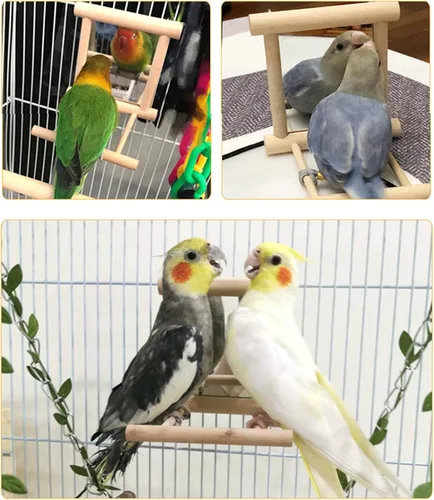 Vista 4 de JIYAN Espejo de pájaro columpio para pájaros, jaula de loro, juego colgante con espejo para guacamayo, cacatúa, cacatúa, conure, tortolitos, canarios