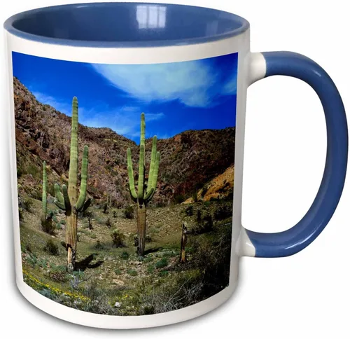 Vista 7 de 3dRose USA, Arizona, Ajo, Saguaro cacti - US03 PHA0020 - Peter Hawkins 11oz Two-Tone Black Mug