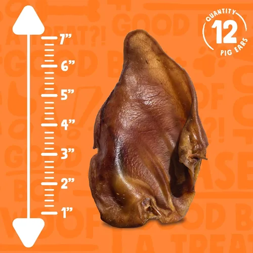 Vista 4 de Orejas de cerdo para perros (paquete de 12) – Orejas de cerdo enteras totalmente naturales, de un solo ingrediente, altas en proteínas, masticables