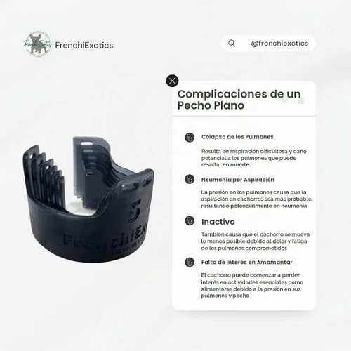 Vista 5 de Kit de pecho plano para cachorros recién nacidos, esencial para parto, talla 0-5