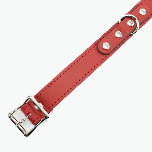 Vista 8 de Atlas I Collar Lambskin Latigo Leather Handmade O-Ring Leather Collar