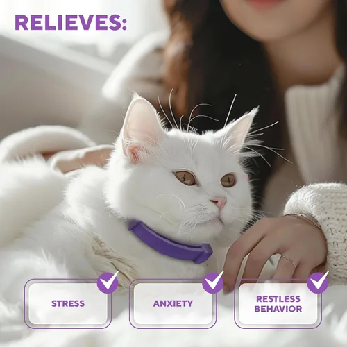 Vista 4 de Collar calmante para gatos y productos antiansiedad para mascotas, collares de feromonas calmantes felinas y alivio del estrés para gatos, ayuda