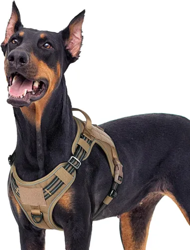 Vista 36 de rabbitgoo - Arnés para perros pequeño sin tirones, chaleco táctico de servicio con Molle y asa de control, arnés militar ajustable y reflectante