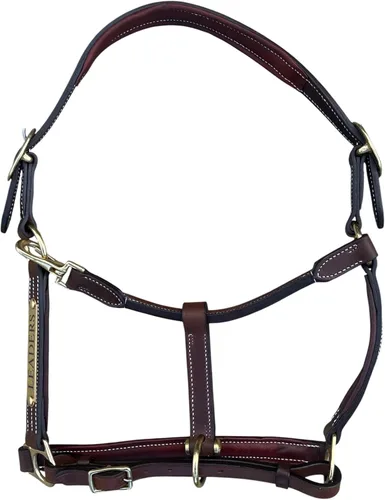 Vista 9 de Leaders - Cabestro acolchado de cuero para caballos con placa de nombre grabada personalizada con opción halter para caballo